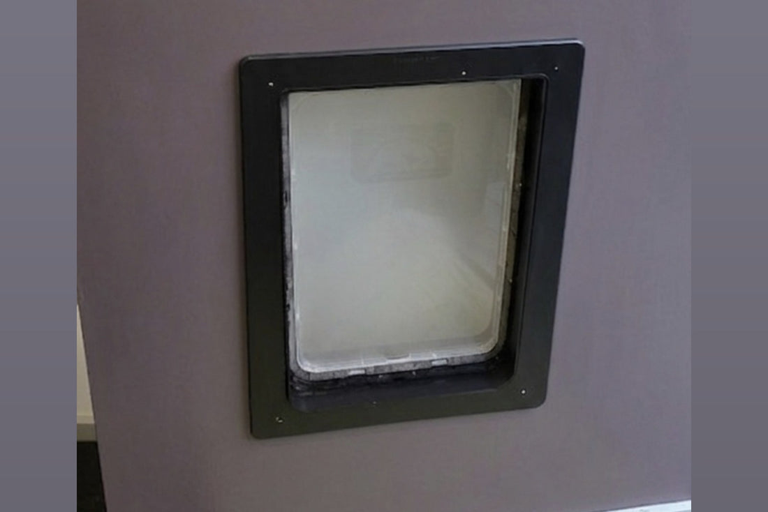 Finished door with the dog door raised 110mm, the epoxy repair invisible under the paint